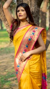ARADHANA SILK 004