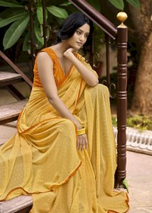 VALLABHI ALOVERA