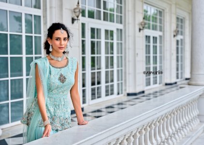 ZAVERI  WEAR VOL-2